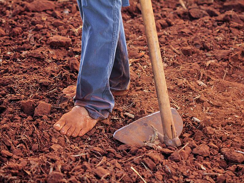 The 2023 Irish Farmer calendar is here