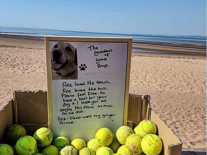 Free tennis balls left on beach in memory of the 'goodest of good boys'