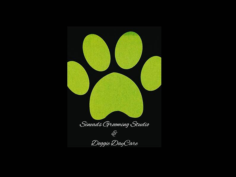 Sineads Grooming Studio & Doggie Daycare - Daycare Assistants