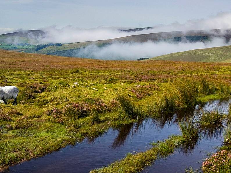 Woman dies after becoming unwell on Galtee Mountains in Tipperary