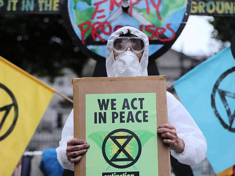 Campaigners picket ‘talking shop’ biodiversity conference