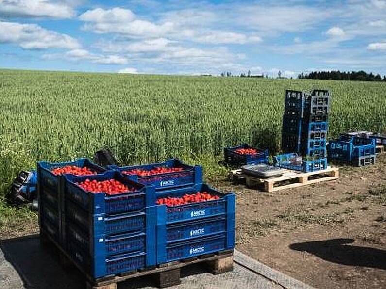 South East roadside strawberry seller robbed in daylight by two males