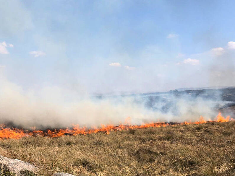 Heat stress, forest fires, melting roads and power cuts forecast alongside heatwave