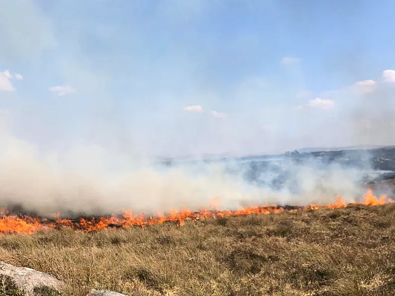 Heat stress, forest fires, melting roads and power cuts forecast alongside heatwave