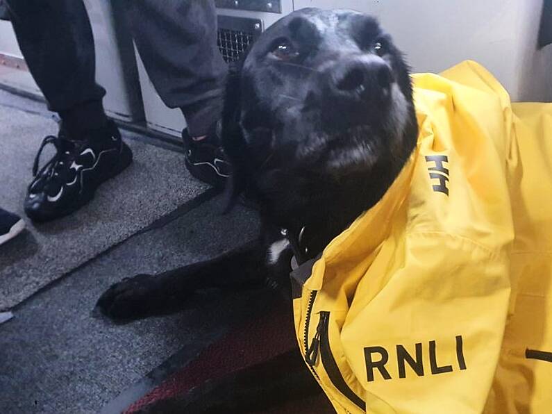 RNLI rescue father, son and dog 'Billy' after engine failure