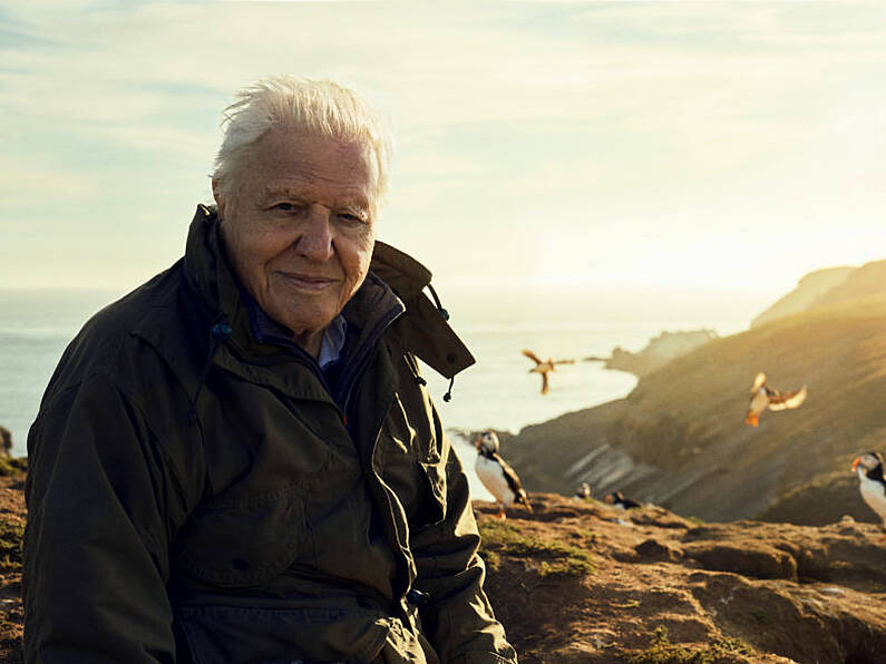 David Attenborough to showcase Irish wildlife in new series