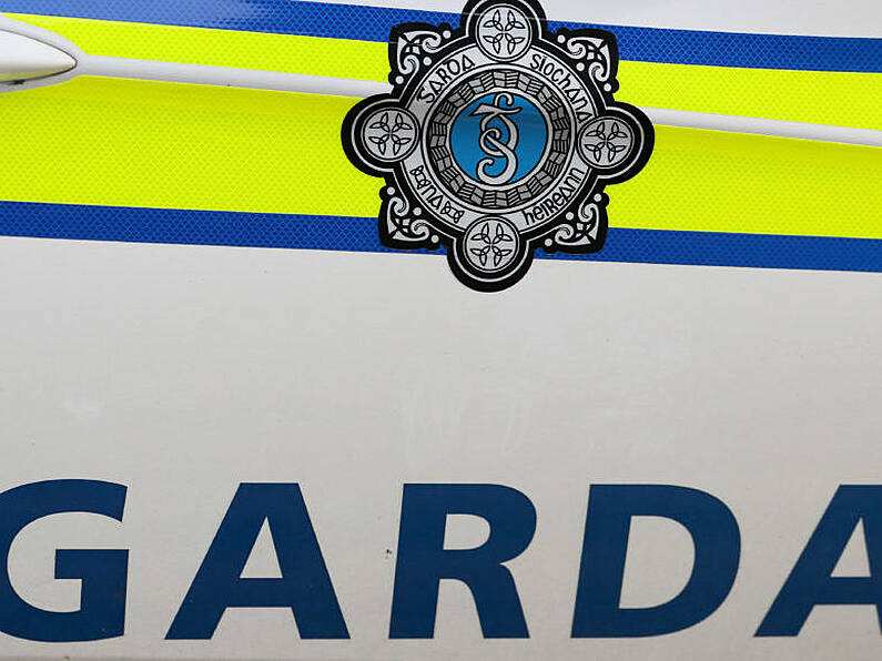 Fugitive on the run in Europe arrested in Ireland