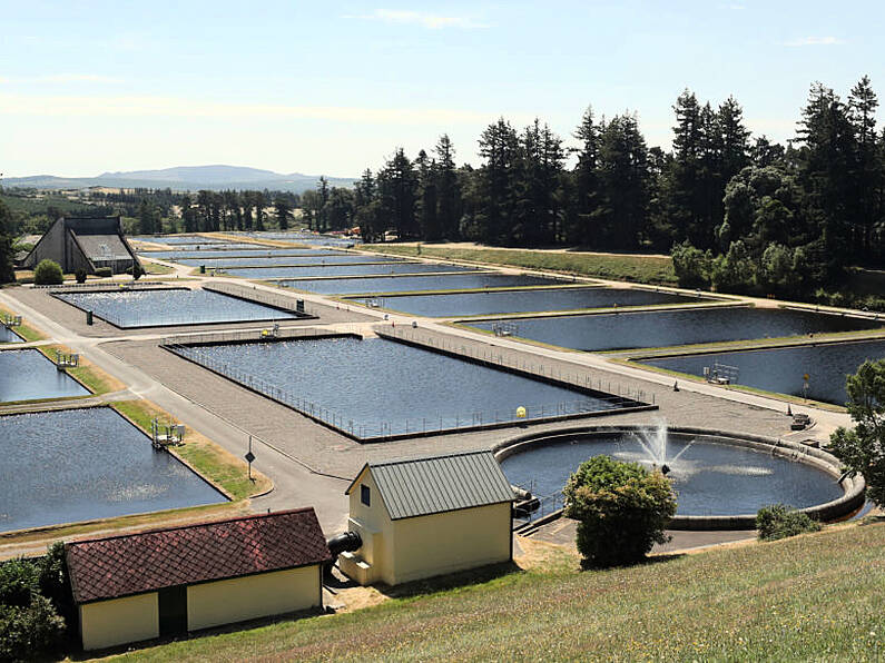 Serious incidents at water treatment plants in Wexford & Kildare put almost 900,000 people at risk