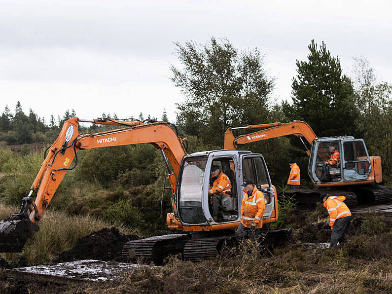 Search of bog for 1975 IRA victim Columba McVeigh is paused for winter