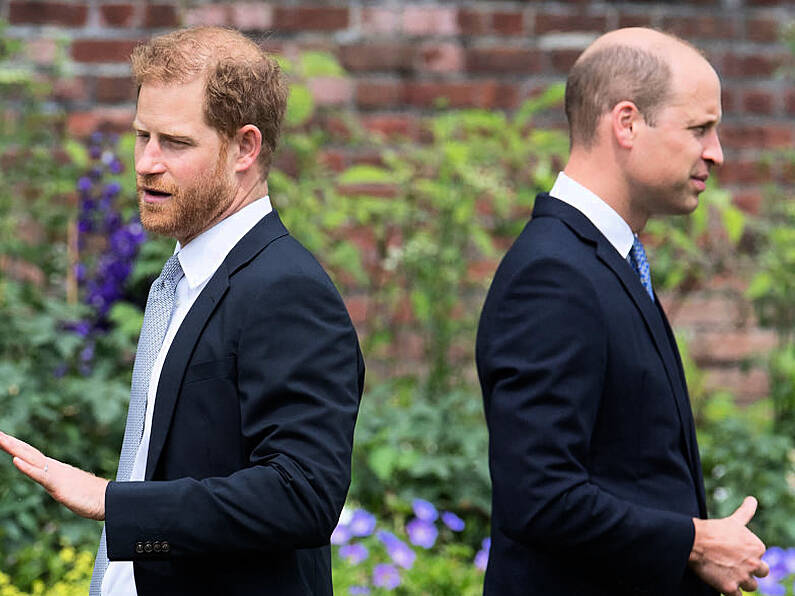 Prince Harry saw ‘the red mist’ in his brother during alleged physical confrontation