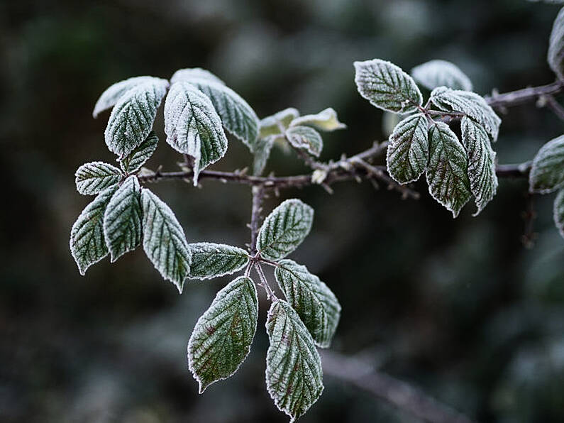 Yellow ice warning in place for entire country