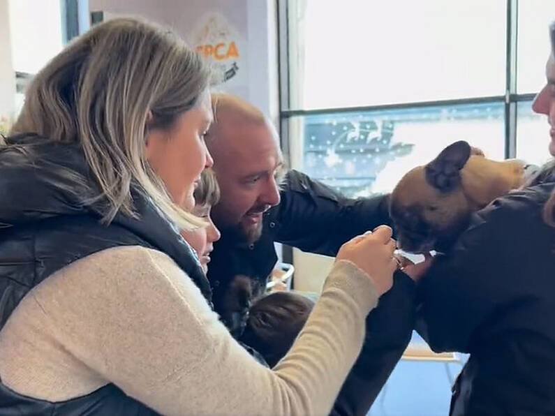 Lost dog reunited with family after two years