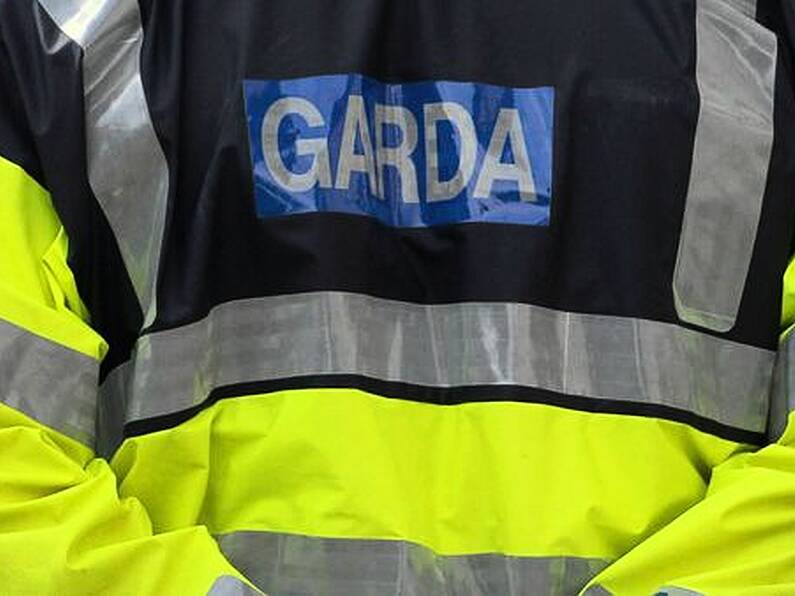 Gardaí search for burglars who drowned dogs while robbing house in Tipperary