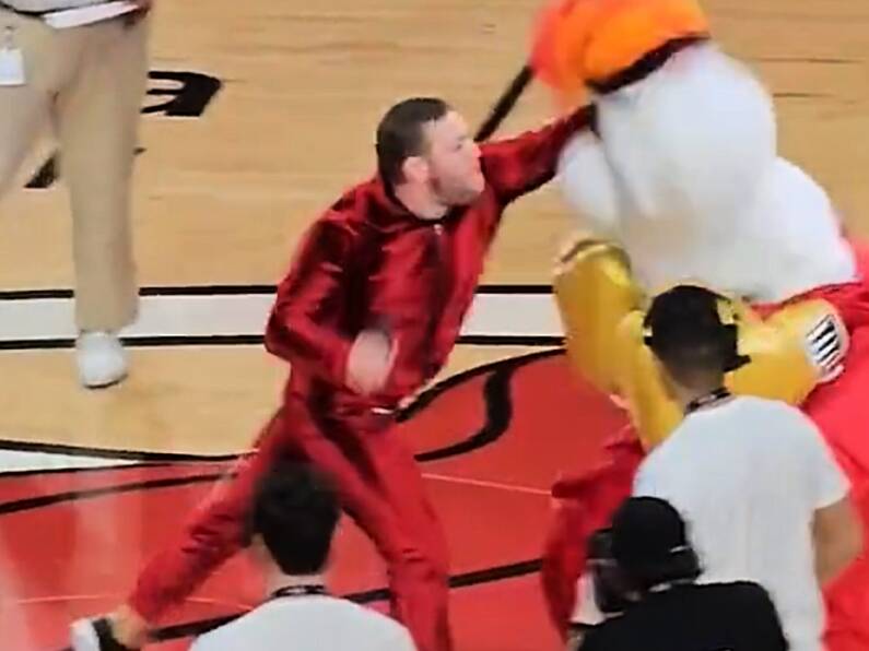 Miami Heat mascot treated at ER after Conor McGregor punches