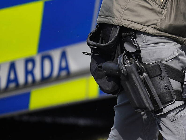 Seven men arrested in garda operation targeting criminal gangs