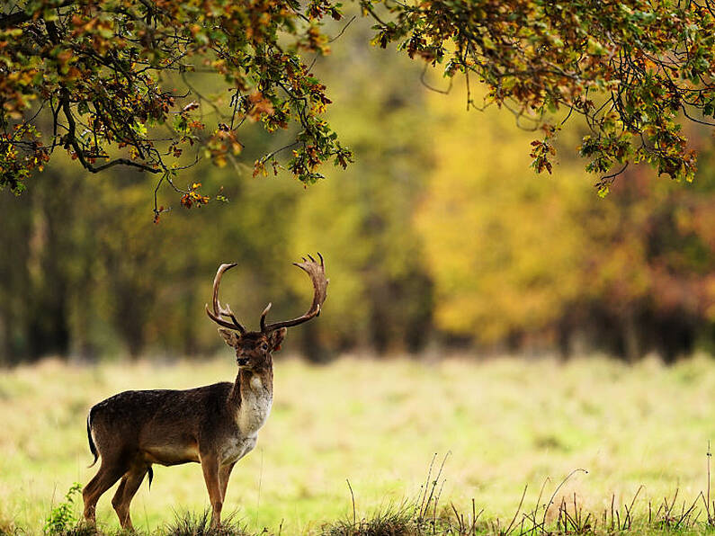 October warm spell could see heat records broken