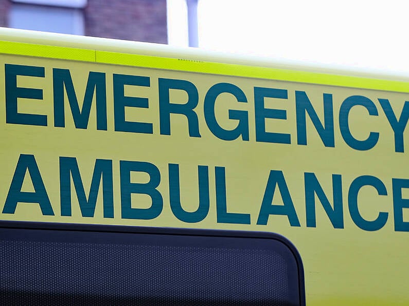 Two women seriously injured after dog attack in Waterford