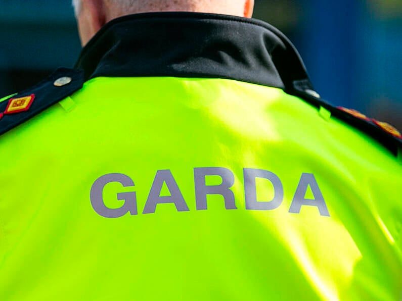 Number of Gardaí resigning continues to grow