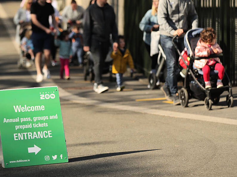 Dublin Zoo rejects claims it paid for director's hot tub while ‘begging for funds’