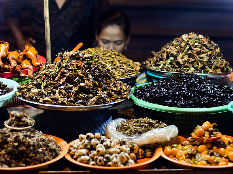 What happens to your body when you eat creepy crawlies on I’m A Celebrity?