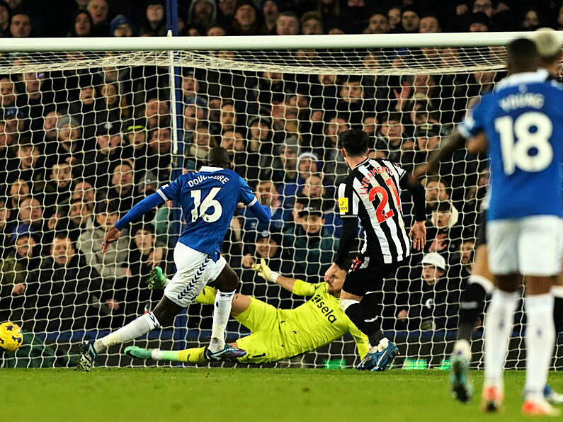 Everton out of relegation zone after stunning Newcastle at fired-up Goodison