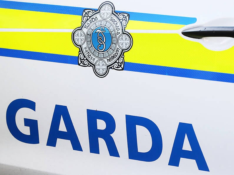 Man in his 20s dies in fatal road collision in Kilkenny