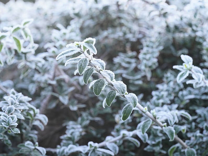 Snow hits parts of Ireland on first day of spring as Met Éireann issues ice warnings