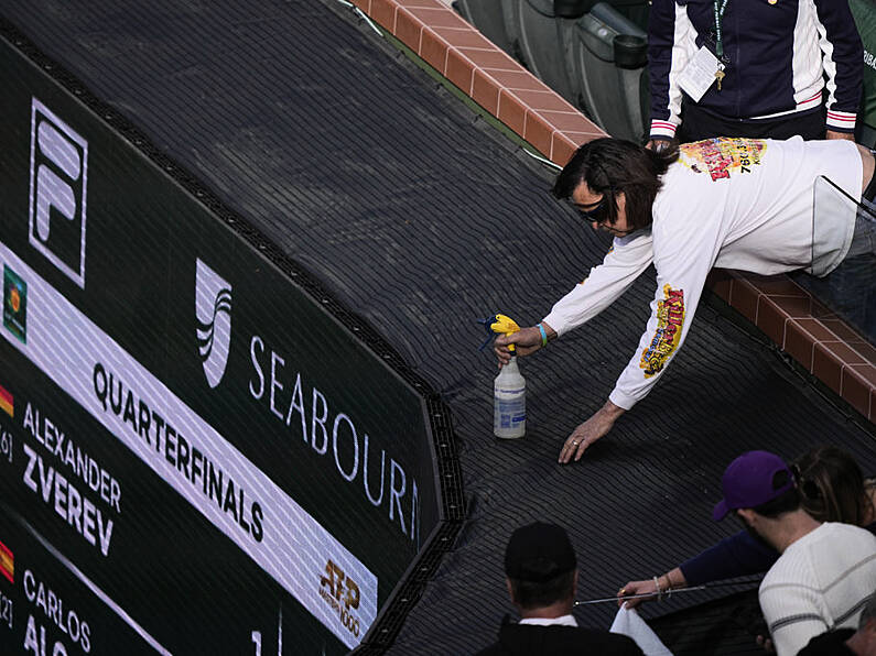 Invasion of bees unable to take the sting out of Carlos Alcaraz at Indian Wells