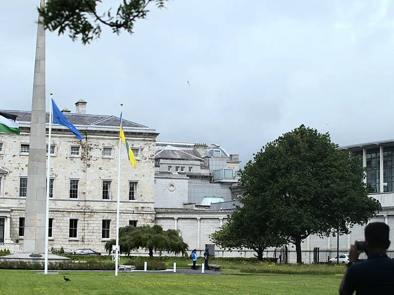 Dáil suspended after protesters interrupt statements on Palestine