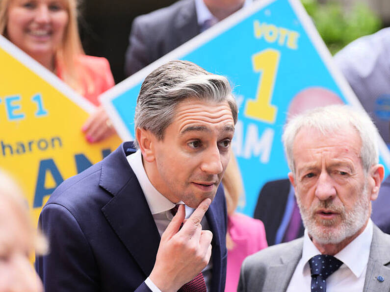 Investigation launched after protesters disrupt Simon Harris election canvass in Mayo