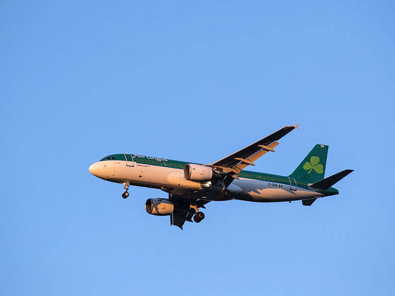 Aer Lingus to contact passengers as flights cancelled due to industrial action