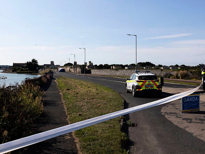 Man (40s) killed after hit-and-run incident in Dublin