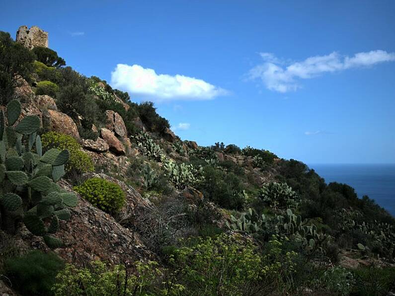 Body of Irish man (39) located in Sardinia