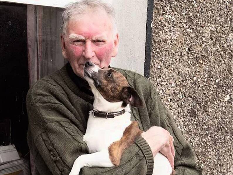 Elderly Irish man wins court bid to get Jack Russell back after 176,000 sign petition