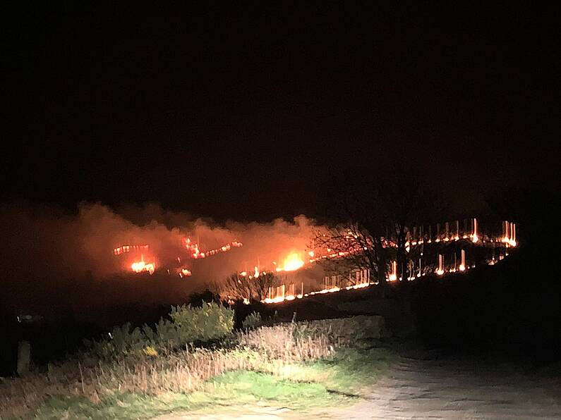 Firefighters battle large gorse fire in Carlow overnight