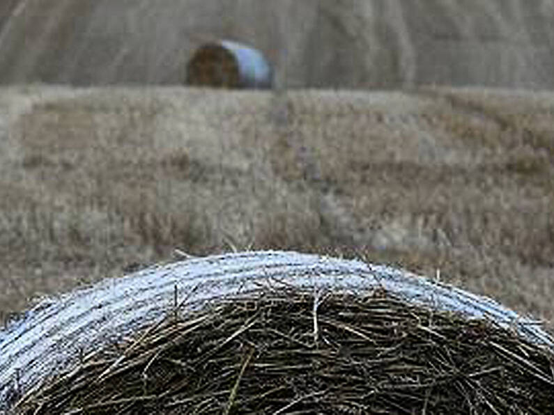 Irish farmers warn of nationwide fodder shortage