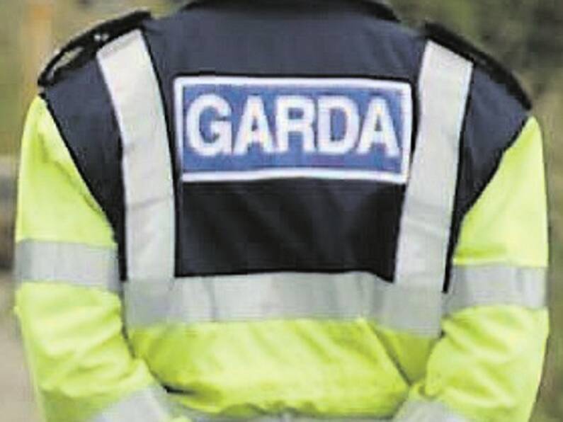 Two men arrested after Gardaí seize €50k worth of cocaine in Laois