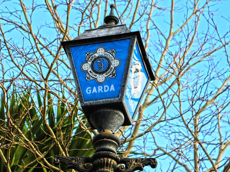 Gardaí investigation underway after 3-month-old kitten that was pushed through letterbox dies