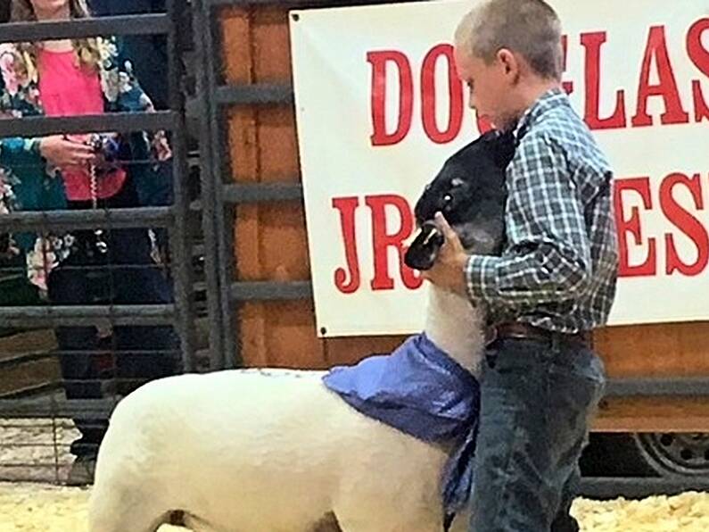 Tears as young boy says goodbye to slaughter-bound lamb he reared