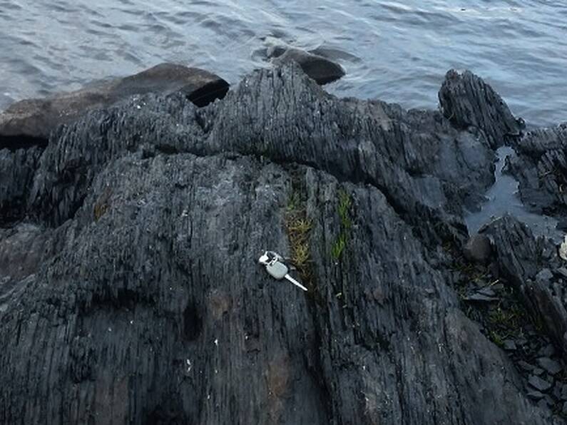 Summer drought unveils unseen rock land in Co Clare