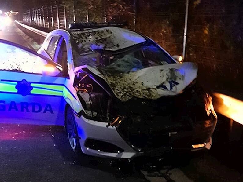 Gardaí injured after car hit by runaway horse