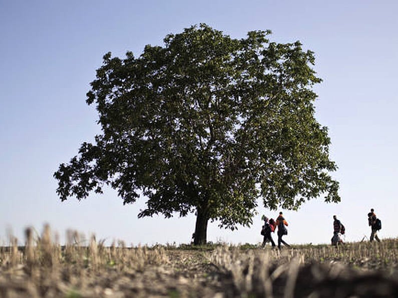 Two migrants found dead in forest in Croatia