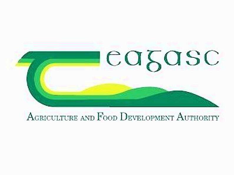 Teagasc unveils technical experts