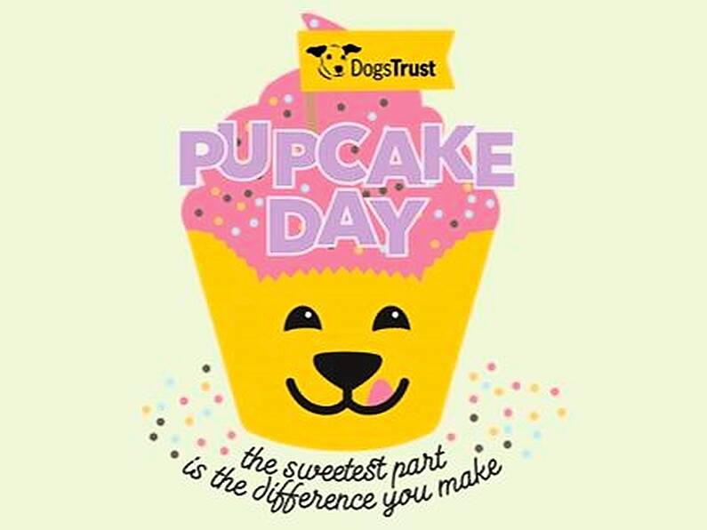 Dogs Trust launches second annual Pupcake Day