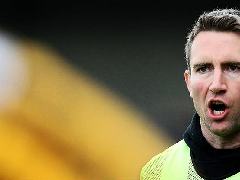 Kilkenny legend Eddie Brennan ratified as Laois hurling boss