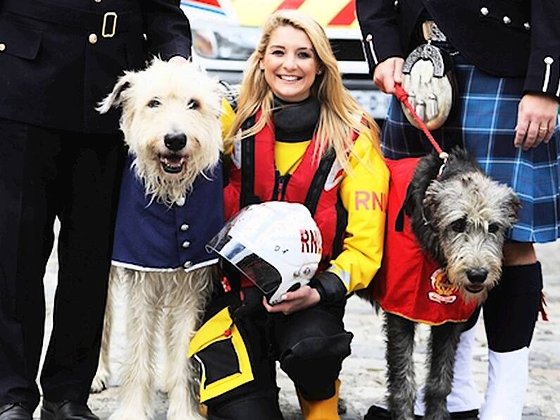 Parades and displays in Dublin to mark the first National Services Day