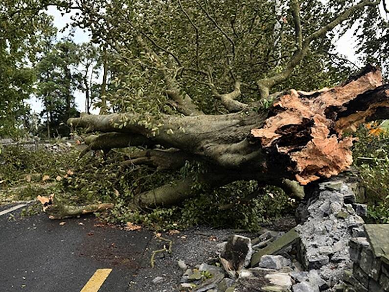 Storm Ali has claimed a second life