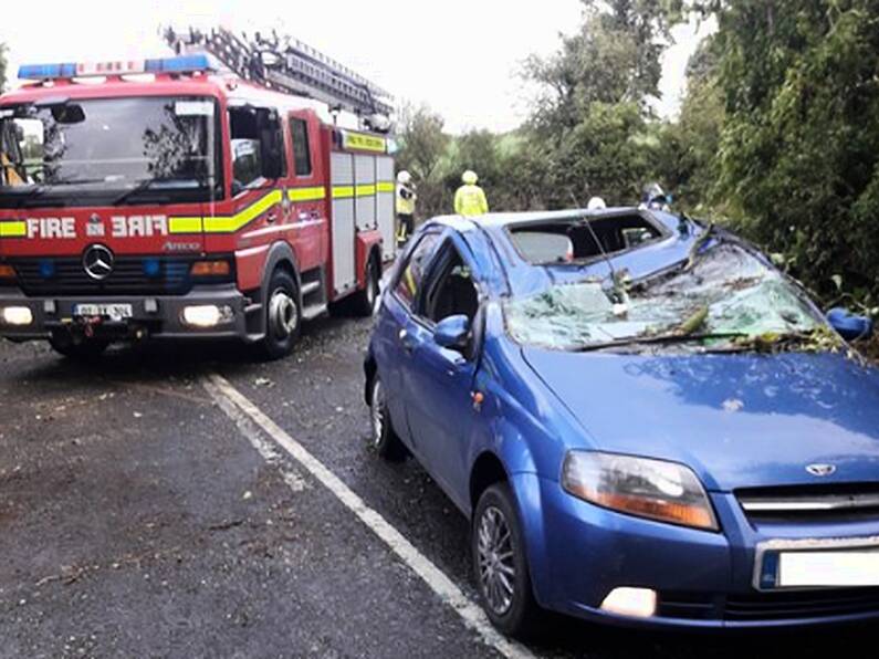 Wexford woman has lucky escape after tree falls on her car