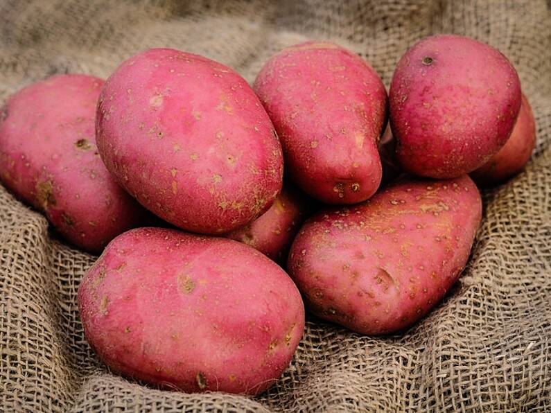 All of a Spuddin, Rooster potatoes have their own festival in Carlow