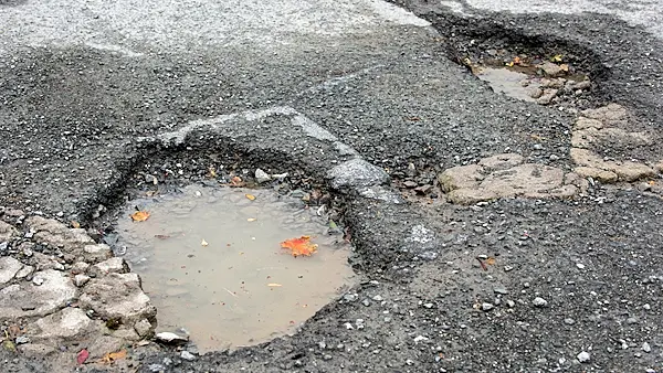 Check out the potholes in Louth which are so big ducks are mistaking them for a pond